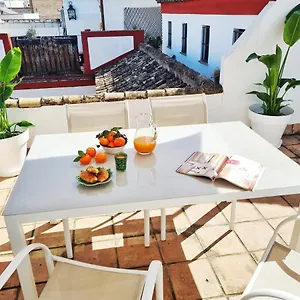 Loft & Private Rooftop With Bbq Seville